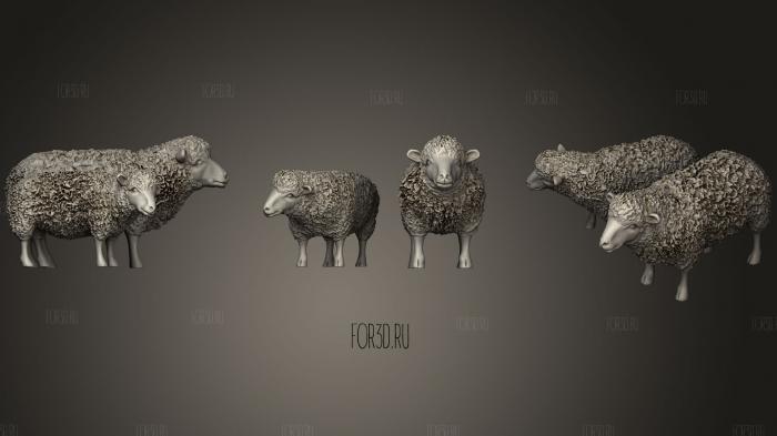 Пастух и овцы.3
